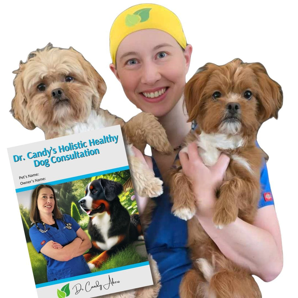 Journeys Holistic Life Dr. Candy's Holistic Healthy Dog Online Consultation