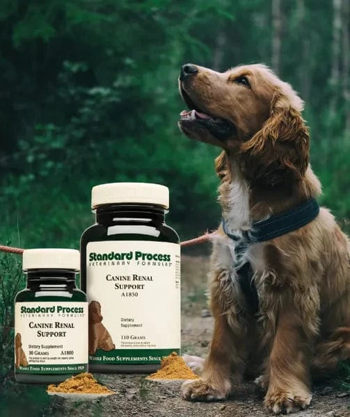 Standard Process Canine Renal Support Kidney Health For Dogs