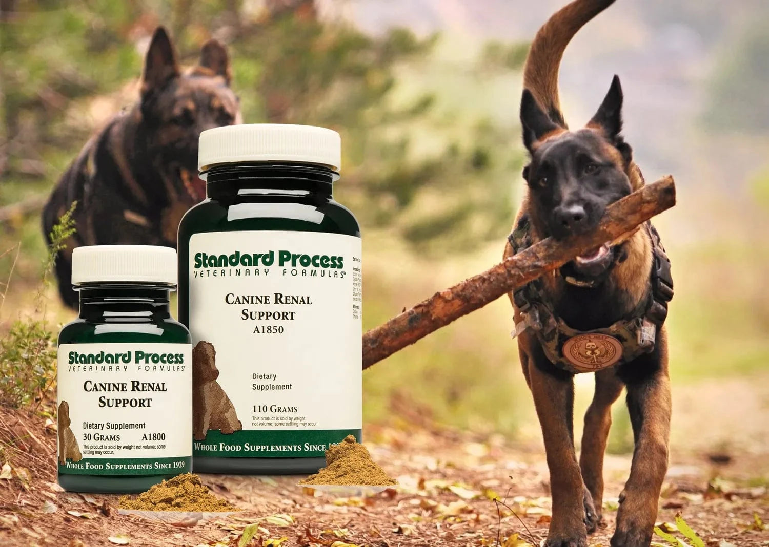 Dog supplements for kidney disease cheap